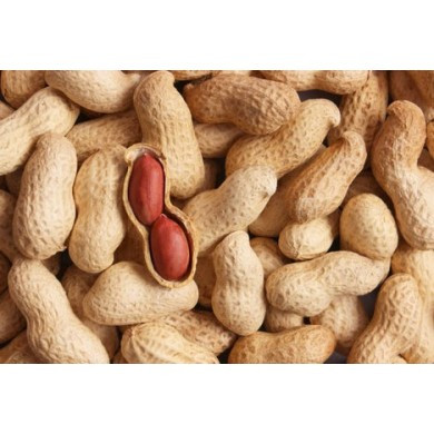 ARACHIDE 5kg