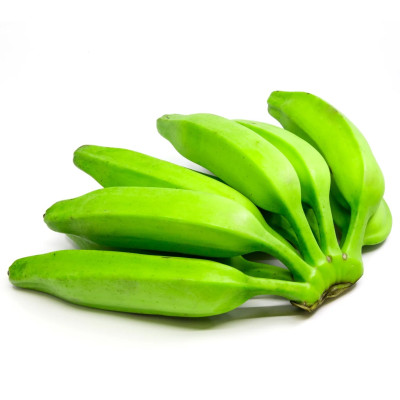 BANANE PLANTAIN BURRO GREEN KING