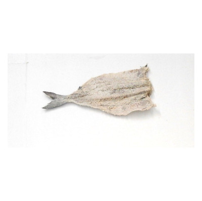 LIEU SALE SECHE 3kg2