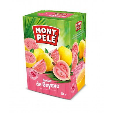 NECTAR GOYAVE BIB 5L MONTPELE