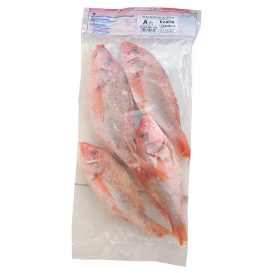 VIVANEAU ENTIER ECAILLE CALIBRE A SACHETS 2kg SAF